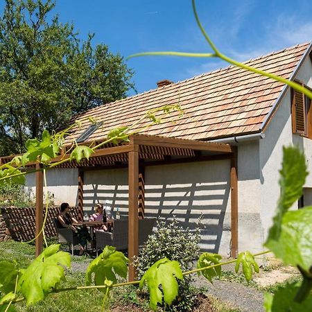 Tagyon Birtok Mandula Apartmanhaz Exterior photo