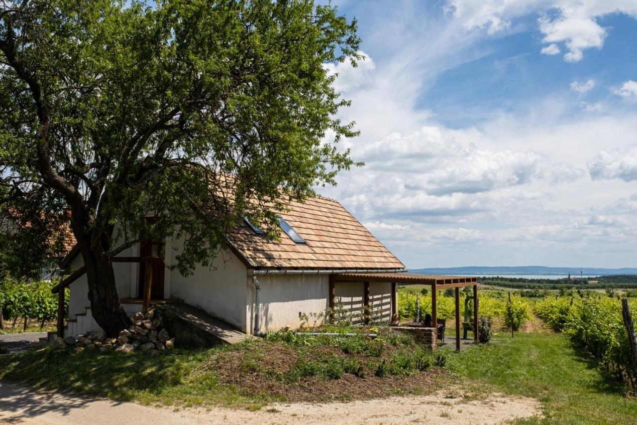 Tagyon Birtok Mandula Apartmanhaz Exterior photo